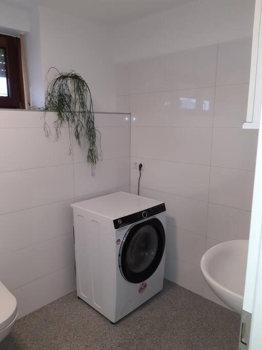 Wohnung In Greven Buitenkant foto